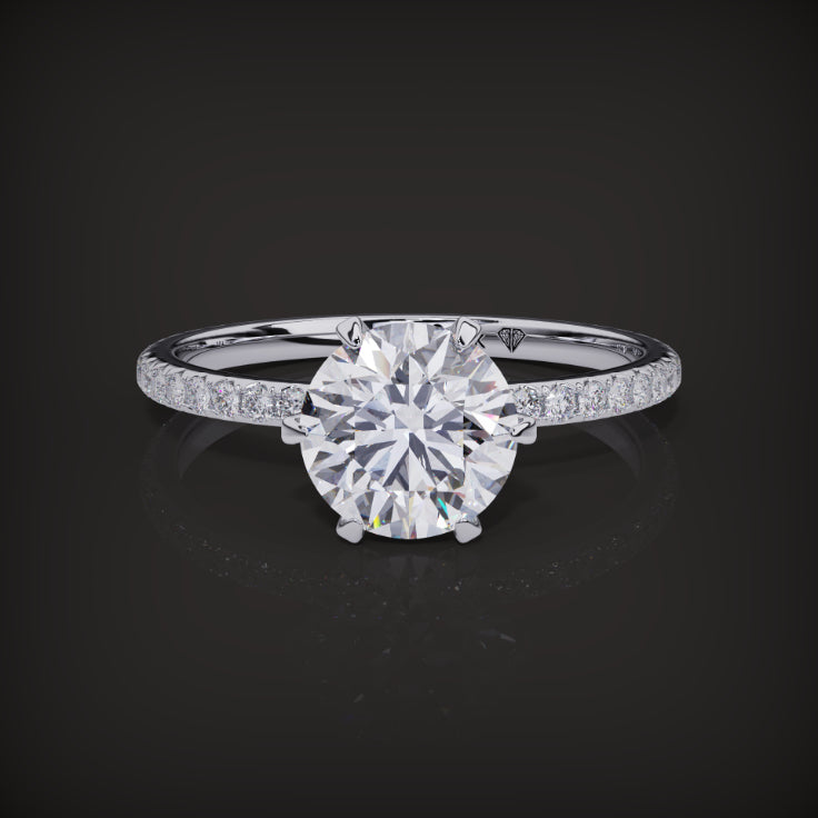 The Marion Ring